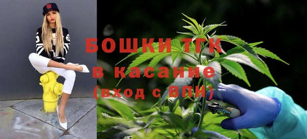 дмт Янаул