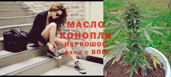 дмт Янаул
