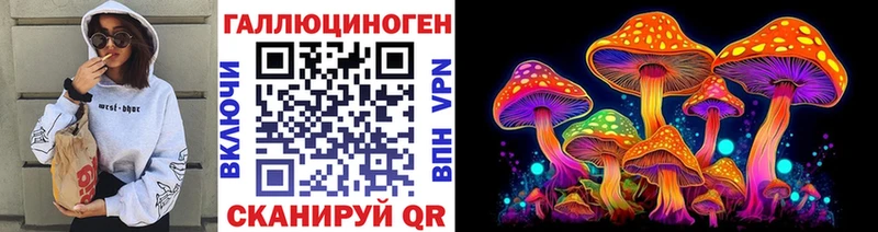 Галлюциногенные грибы Psilocybe  Купить где  Сасово 